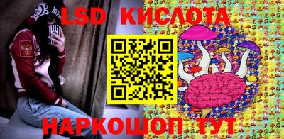 амф Кингисепп