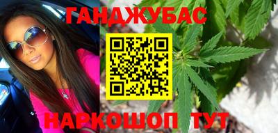 амф Кингисепп