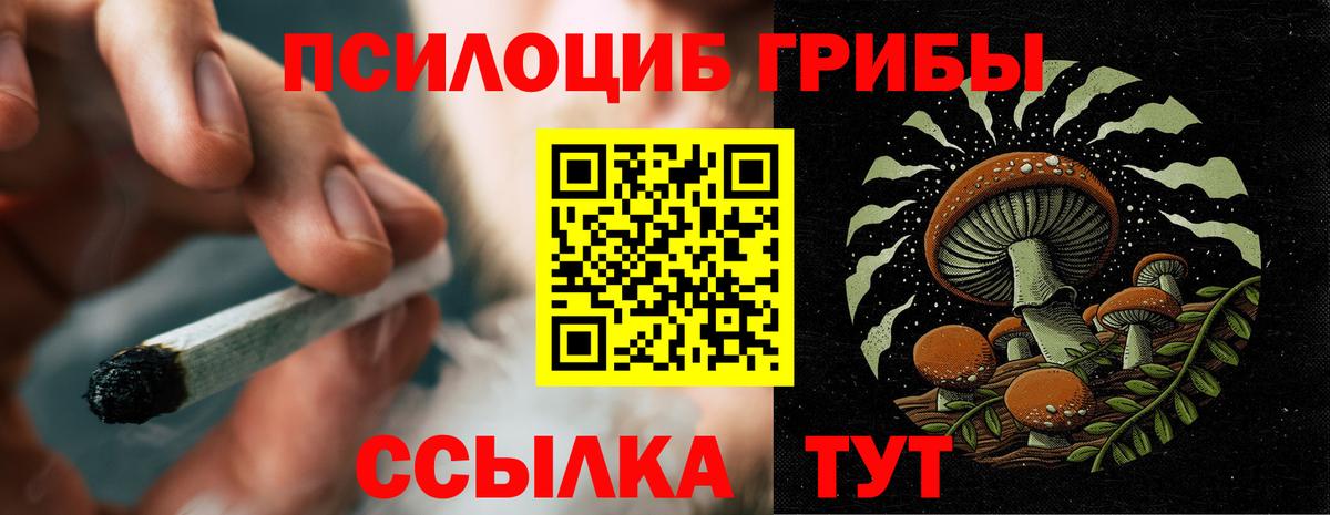Химки  Галлюциногенные грибы Magic Shrooms  купить наркотик  Псилоцибиновые грибы Psilocybe  Вход с VPN 