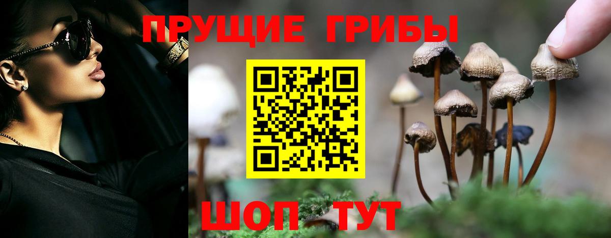 Псилоцибиновые грибы прущие грибы Химки